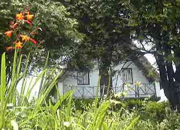 Thatched cottage (Santana).jpg (17784 bytes)