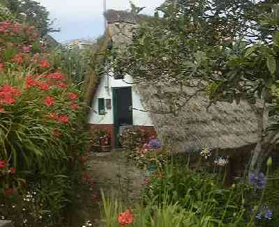 Thatched cottage.jpg (18637 bytes)